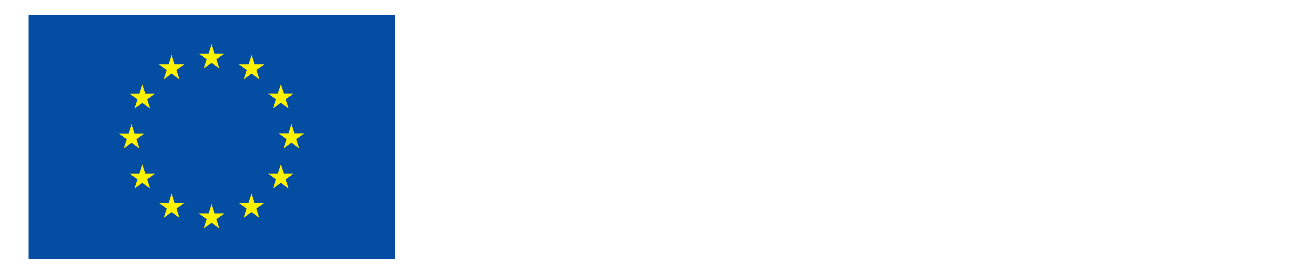 EU flag